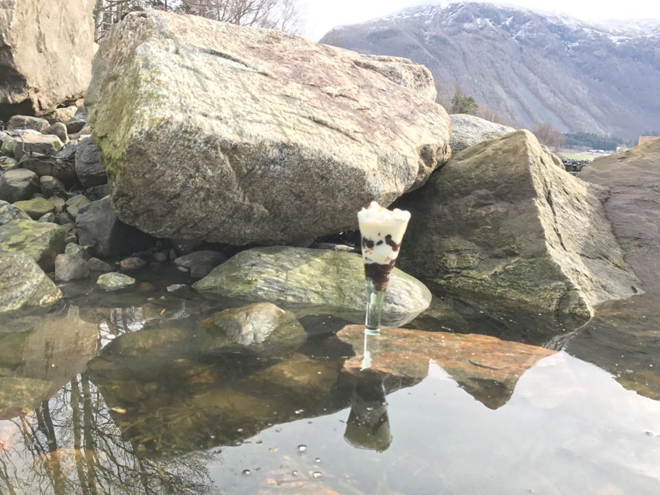 Dessert i et høyt glass på en stein i fjæra, med snødekte fjell i bakgrunnen